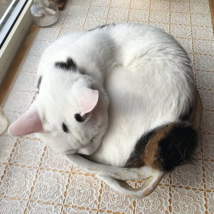 A51edff4 c614 4fc1 9466 d16593c83e8a 1617922615144