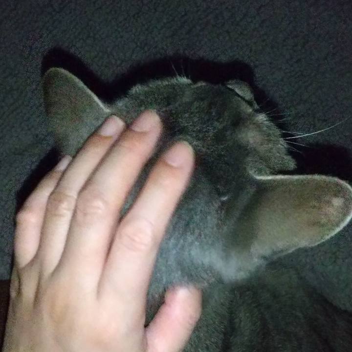 A51f43ce 3ca0 4439 8051 6999e293cef4 1681916108930