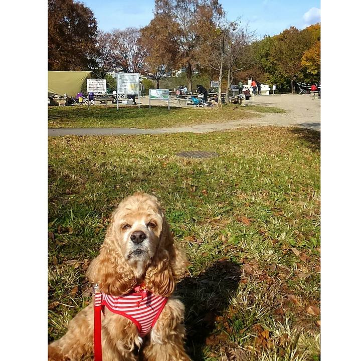 A51f4473 01db 420d a18f 23d64707c664 1511578533727