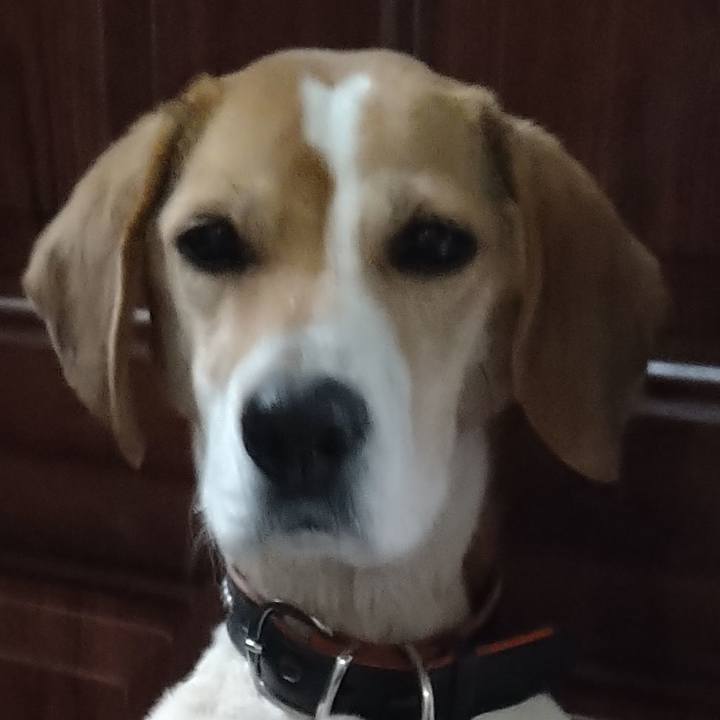 A51f820b de17 4eba 9a48 244f8e764657 1650811484342