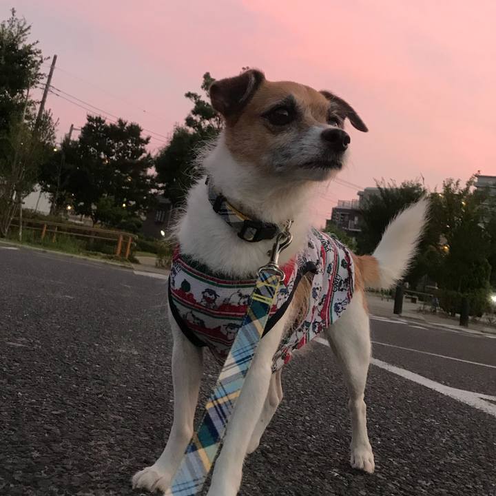 A51fc8c9 de5e 423f a788 a56b7443b781 1532169769460