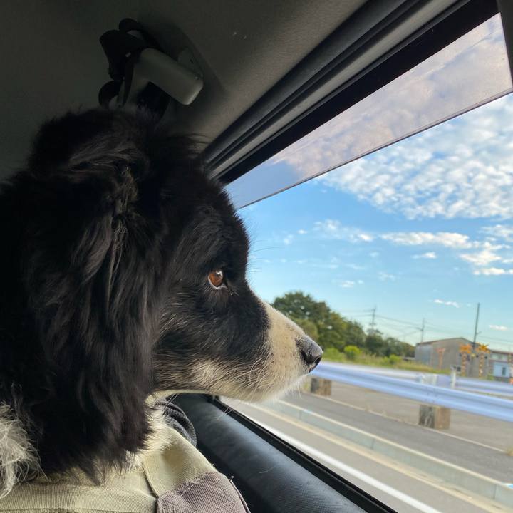 A51fd278 df64 4943 b8da a3bc60c68316 1665526030576