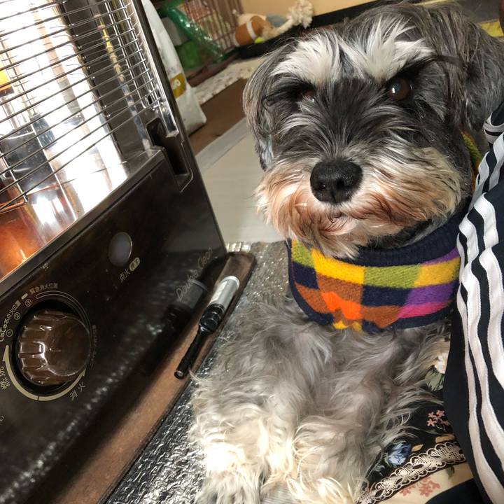 A51fe59d fffa 41c5 ab19 a47695355dd6 1575162689796