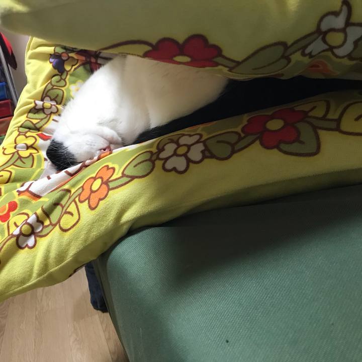 A51feb98 0849 4b2b 8b91 7816bc5e98b1 1575030268306