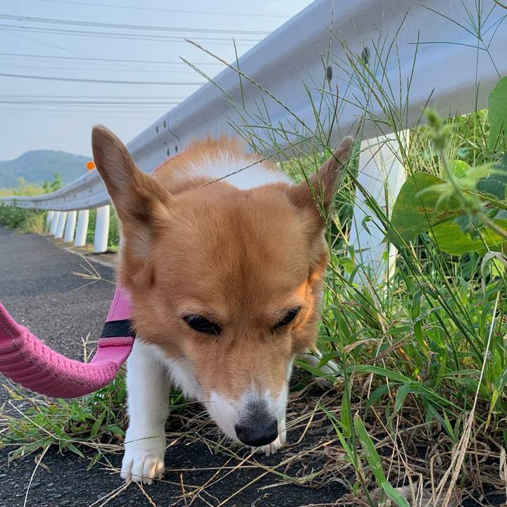 A5200323 88cf 4c2f 9855 081819e743fe 1725752302401