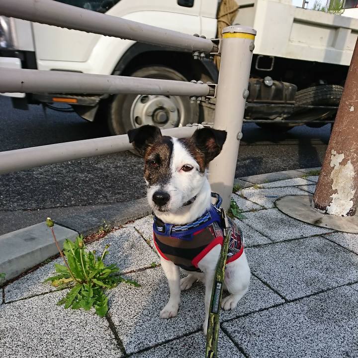 A5201524 0072 43d7 a44e 74b929e41f0c 1522966063908