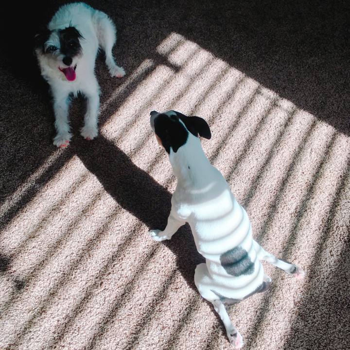 A52018ad e1fe 446d 957a e2b61450d4fd 1537827411222