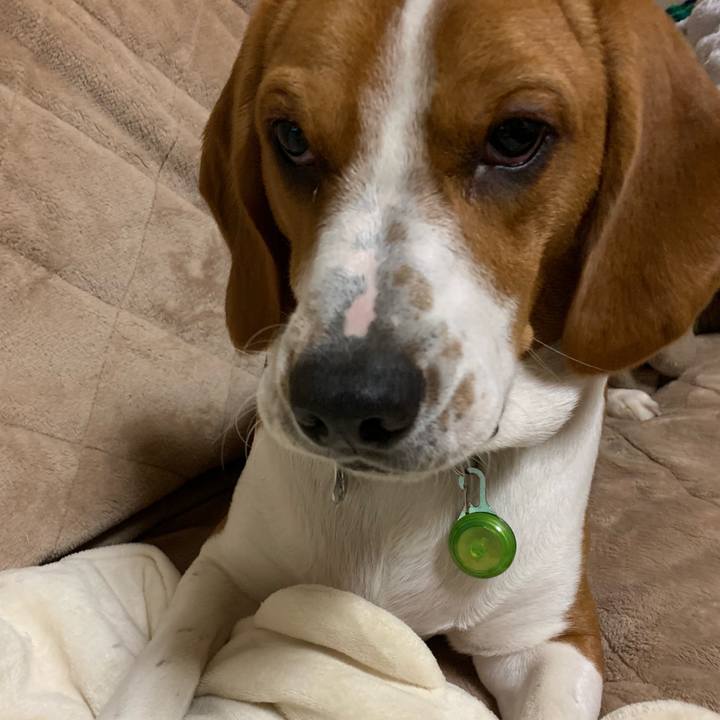 A5202b81 961f 4340 8f1a 6bfc638972b5 1548080003307