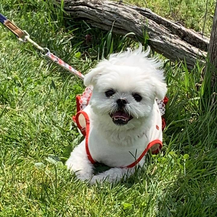 A5203613 bb25 4def 96d2 c3964f57f68b 1651319579035