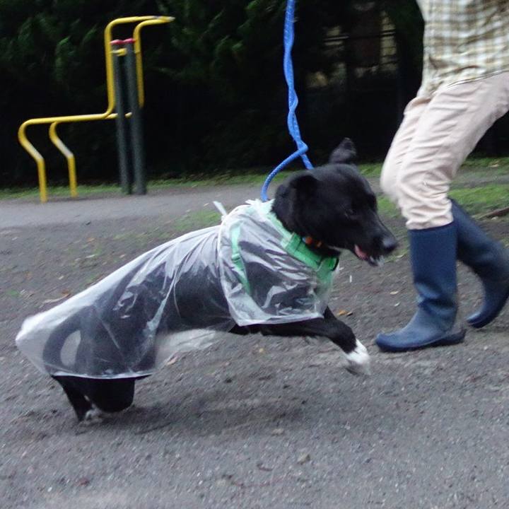 A5208b1a 34b3 4e62 b9e7 23502c4d89f6 1595499692452