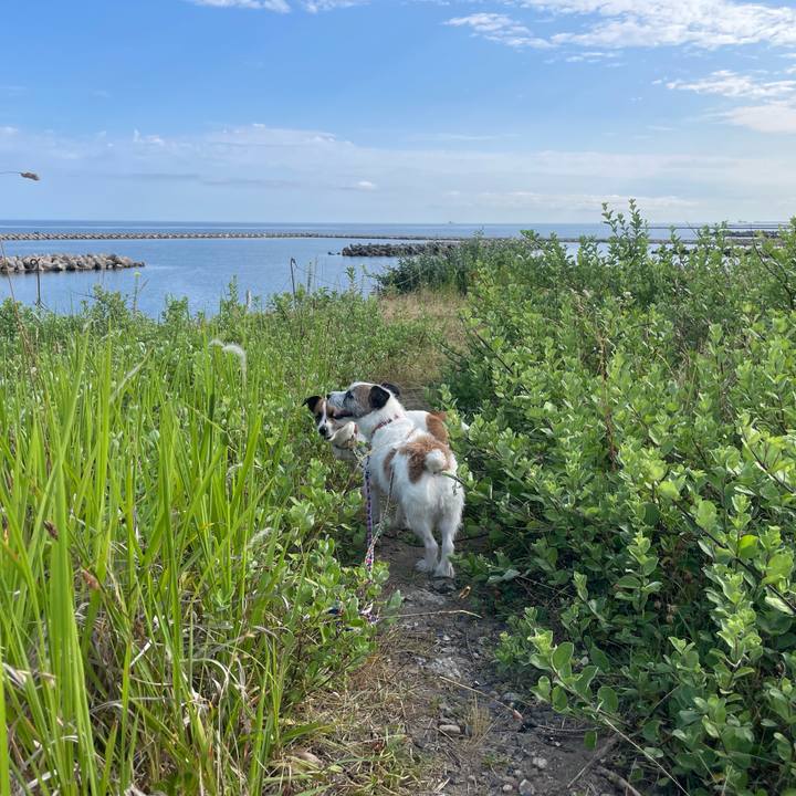 A520b44e 045f 4ff8 b5c0 7478741c1fd4 1752104387101