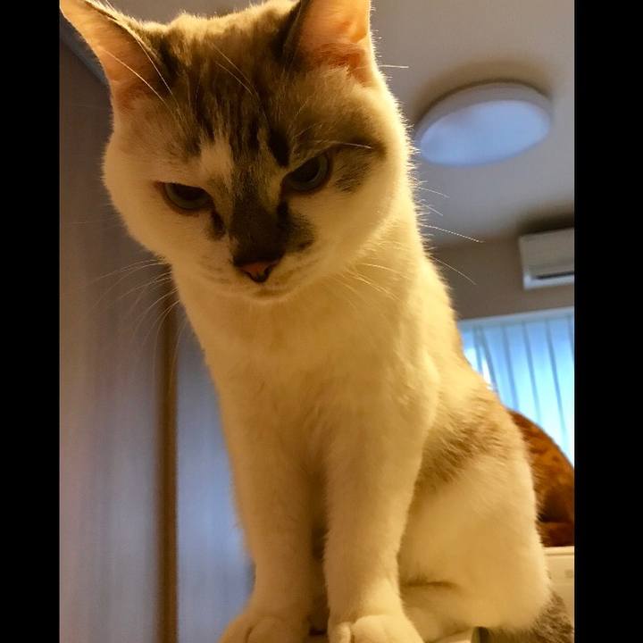 A520e1e7 60a3 45cd 9120 e19e019610e1 1509151812717