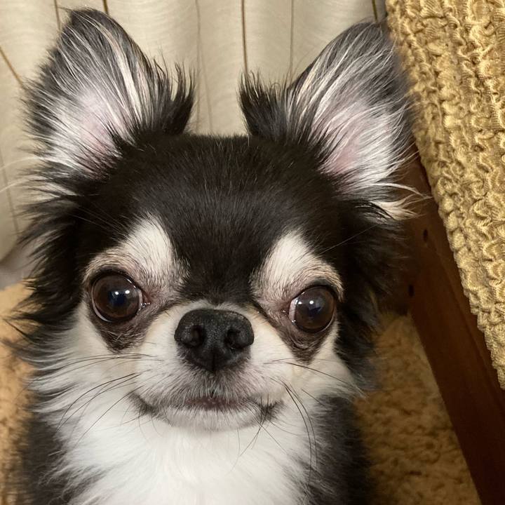 A521019a d2be 4ab0 87d6 5ae9ff879133 1650806901319