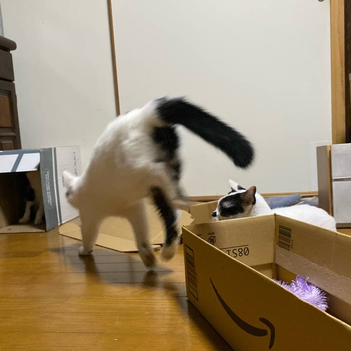 A5210d31 fba7 4eb2 b514 74053100f7b1 1719060043485