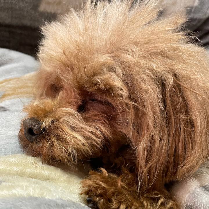 A52120ea af1e 495b 920a bab3da795170 1645233206784