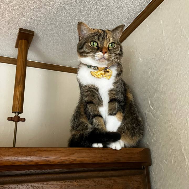 A52136c8 a211 44fa bece 0b8e1d7755d6 1772844110776