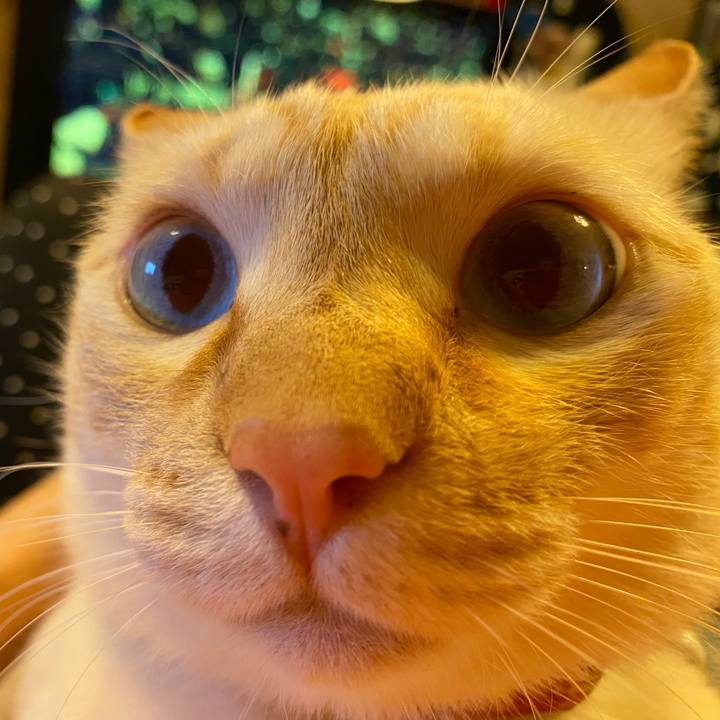 A521d27d f9a6 4ade abf8 df247fa670d5 1682004658444