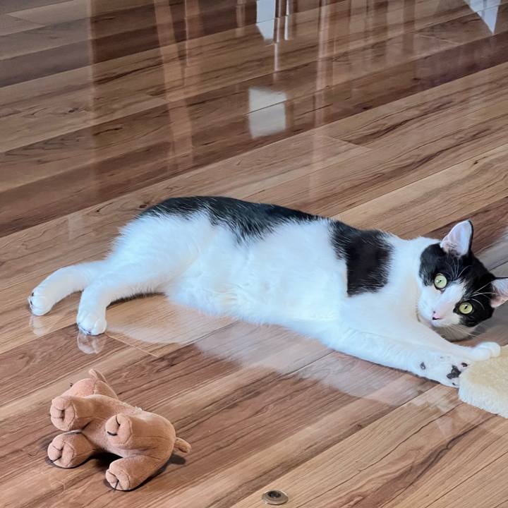 A521e028 cff0 458f a76c cfbed14ae246 1698764226233