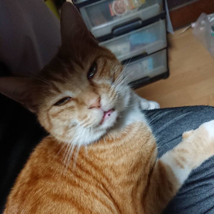 A52205c3 3734 40ac a1b2 44a7fc49c560 1604480705638