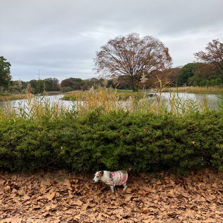 A5221596 643c 420d 8687 8b6f90c69a95 1700003897827