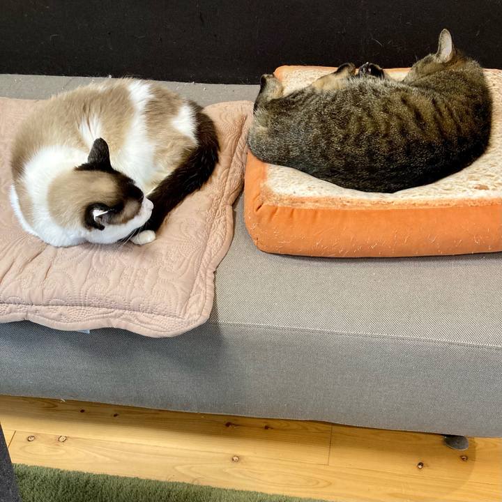 A52258f3 2196 421d 8f62 f859e3c9830d 1654740484461