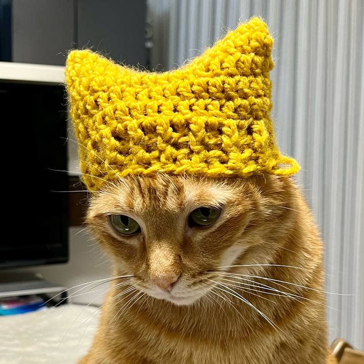 A5226a45 d1cd 403c bb10 9c6fdee2b0f0 1668241625595