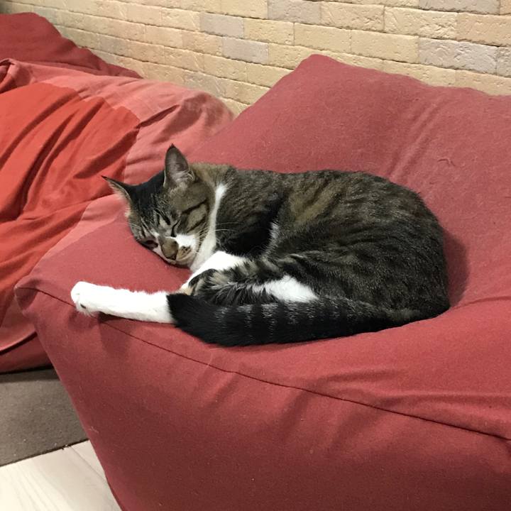 A5226d5f 05e7 46cb 87bf b838350a42b0 1512737091184