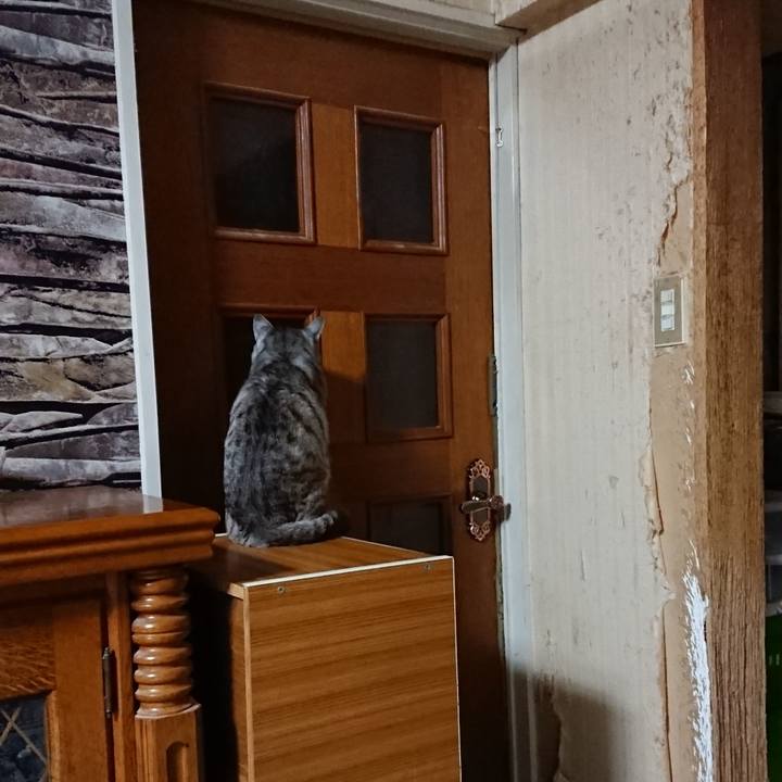 A5228e9d 007c 484e 96be e992cde04dee 1566045620877