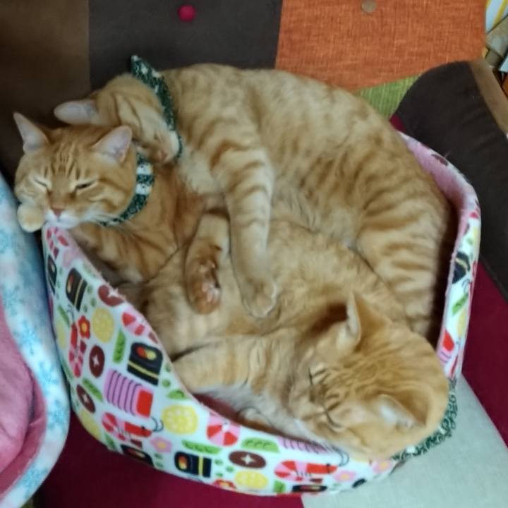 A52293f6 d6c3 4bfc b5fe 07b3090d6535 1580295419190