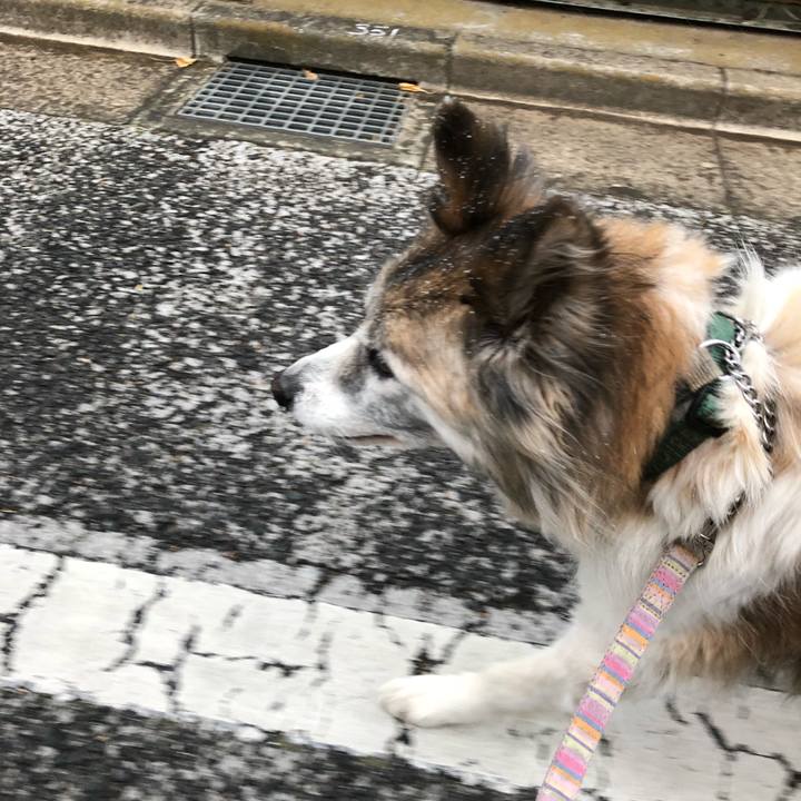 A522a8f4 01d7 4dbd a205 5336253df534 1516577378861