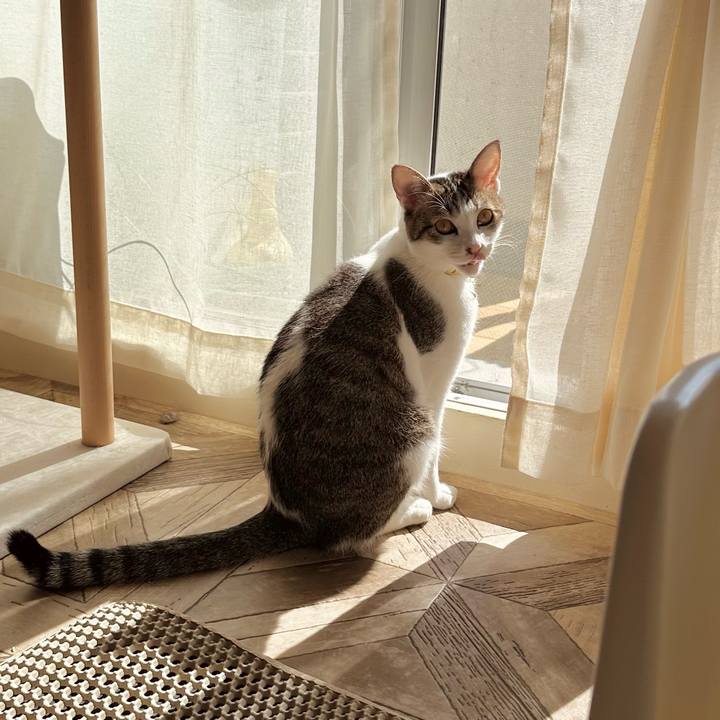 A522d9b3 f048 4e0b 85fd dd6801d5d40e 1761191646815