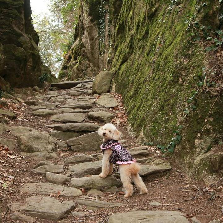 A523109e ada1 4904 a013 5683ab963573 1581283392638