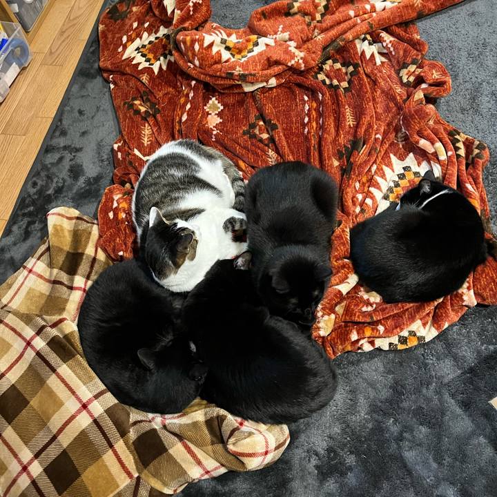 A52322ae bfb7 4f36 9096 99a3c6267afa 1641971934121