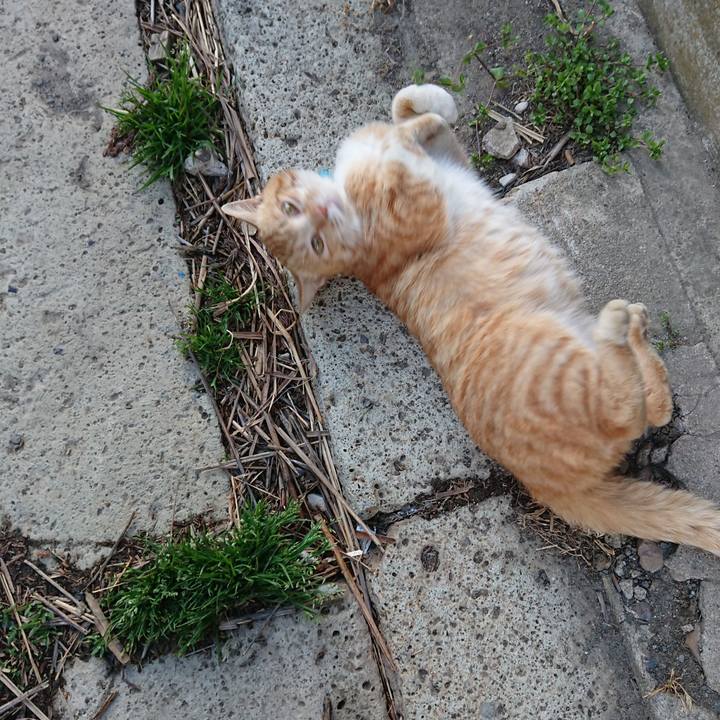 A52394b9 1166 44b6 b536 6fff79fe60e4 1557222519258