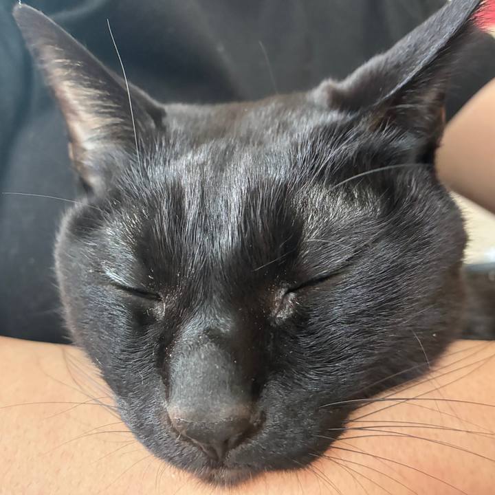 A5239ef1 5c6e 4f0b 93f2 06323655e540 1772836583355