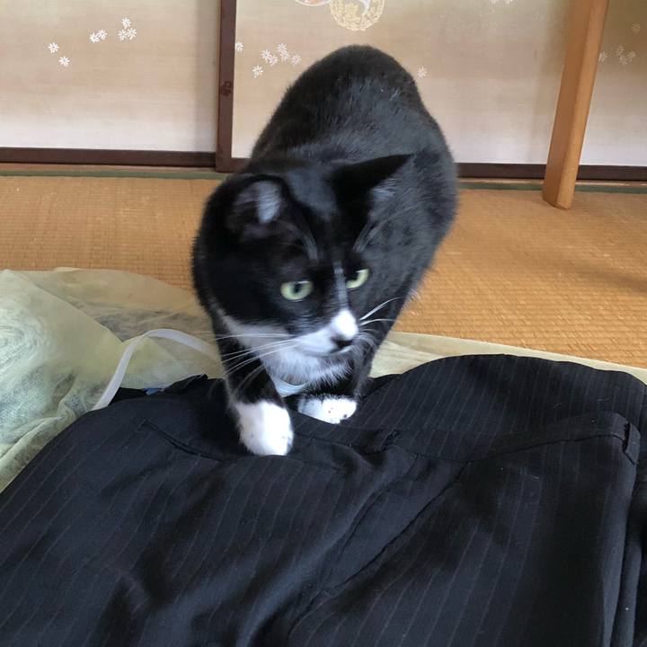 A523b6fb bdb3 470d b8b9 2e9fe8445549 1540269672742