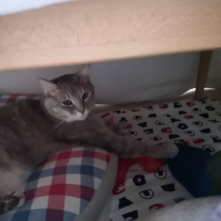 A523c694 1f0e 4f61 acaa 70ea729d8d6b 1576543320118