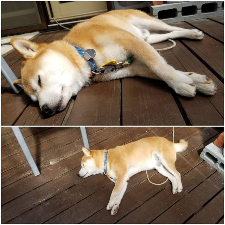 A523d406 a507 4a29 a475 8d456d19798d 1565745989824