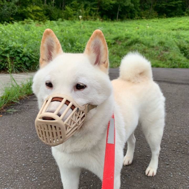 A5241bb3 db27 4d8d 9733 e12785107082 1567114804373