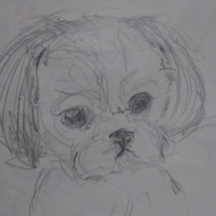 A52448b6 9034 4183 9302 1822282413de 1541511316902