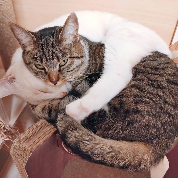 A5245788 2e85 4ea4 8549 21ceecc6028c 1677329295395