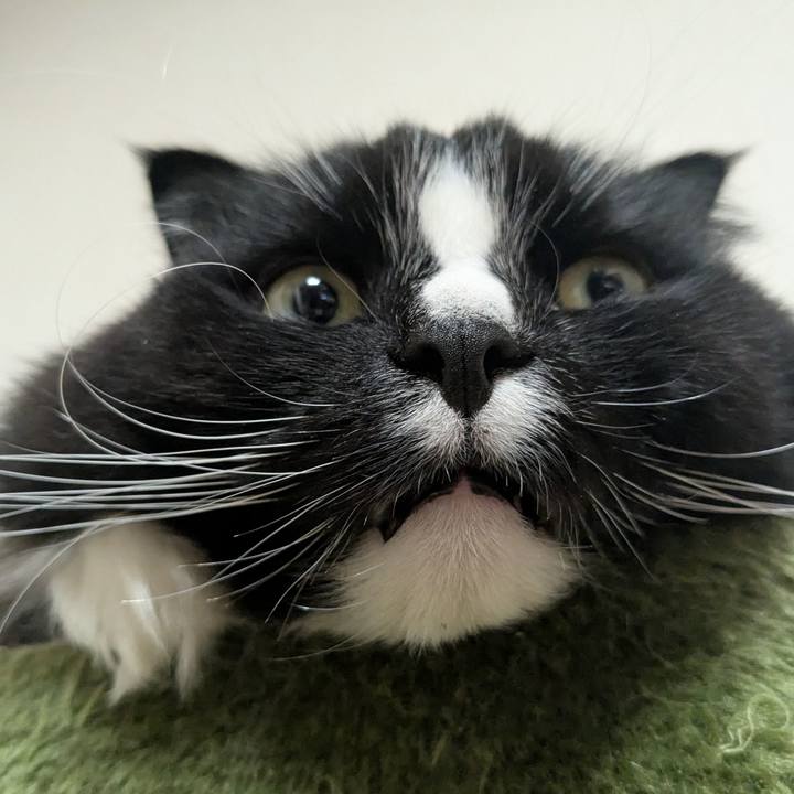 A5245bf1 09e1 4137 90ae 6b17fae6c3f2 1742296589393