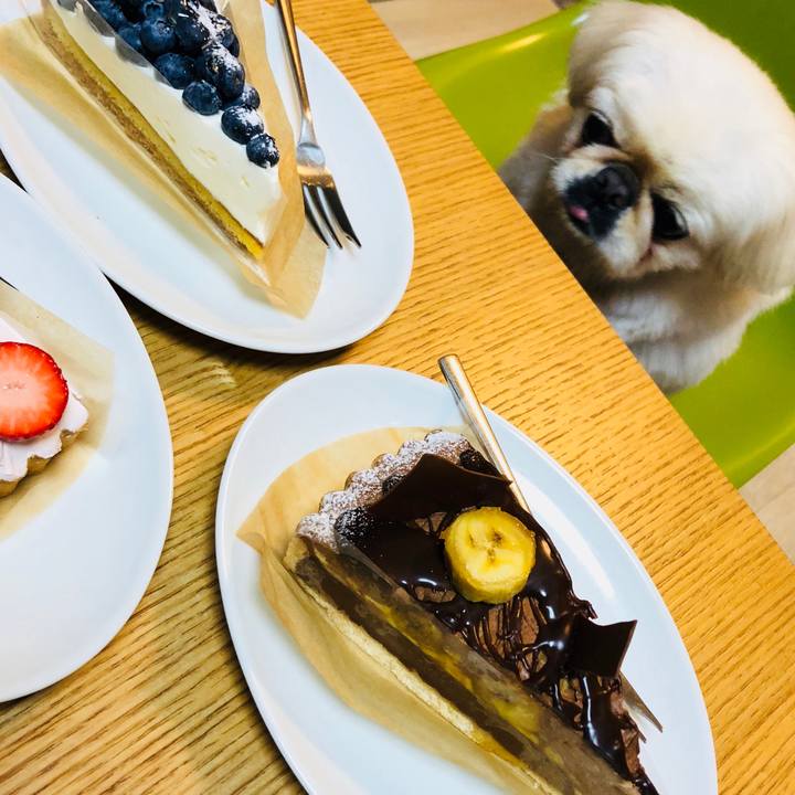 A524b0e2 ac15 4309 bb67 0d92112eb0b6 1584530901985