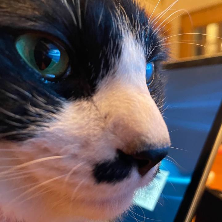 A525035d c897 4927 abd5 275aeb384dce 1667649109483