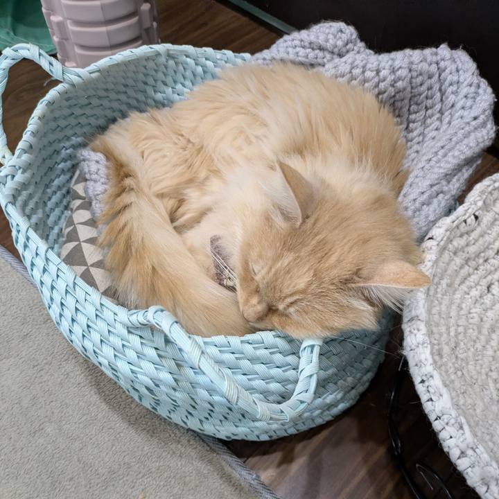 A5250f69 9d0d 4beb 8dae 50ccb08e3184 1772418147347