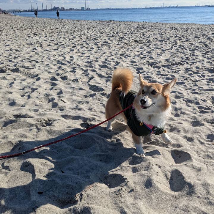 A5251628 5b0b 40dd b4ed 39be5e9b5c71 1767529261264