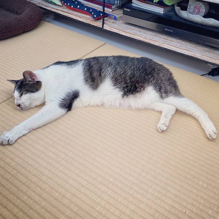 A5252013 9365 40a7 8348 88b2504b6193 1629345846978