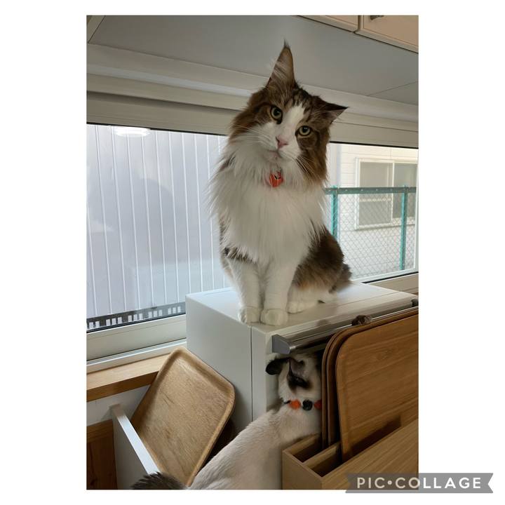 A52534b7 13eb 477d b8d1 beff9c29feea 1697236603080