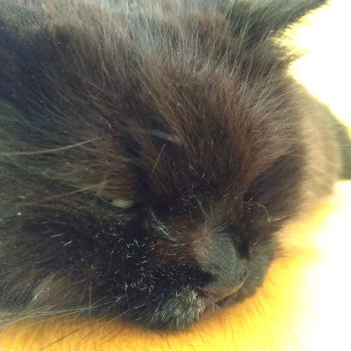 A5258fb8 5ab3 44ec 9a26 6841f3c35efb 1661734159538