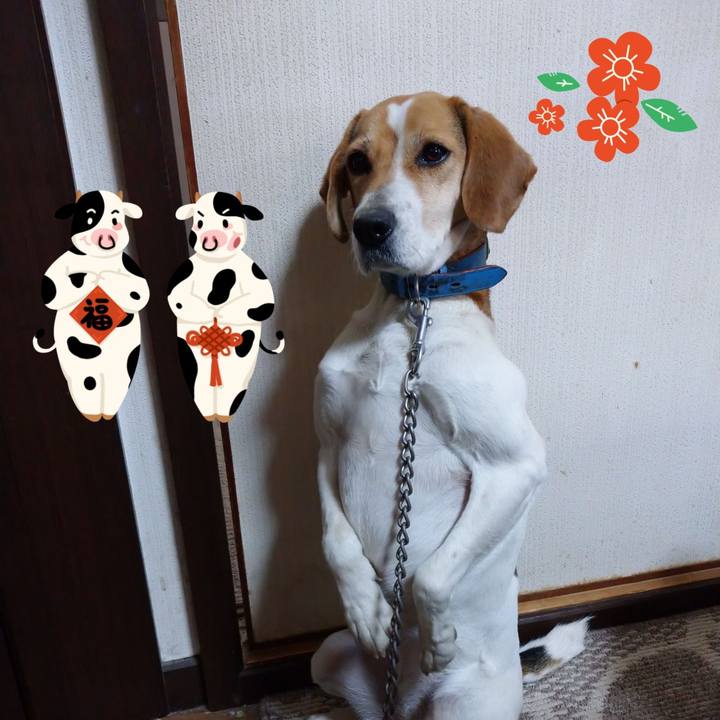 A525bfe9 0068 4c73 8412 54586a475778 1613540301626